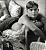 dingdong