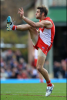 A swans fan