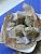 south_dimmies